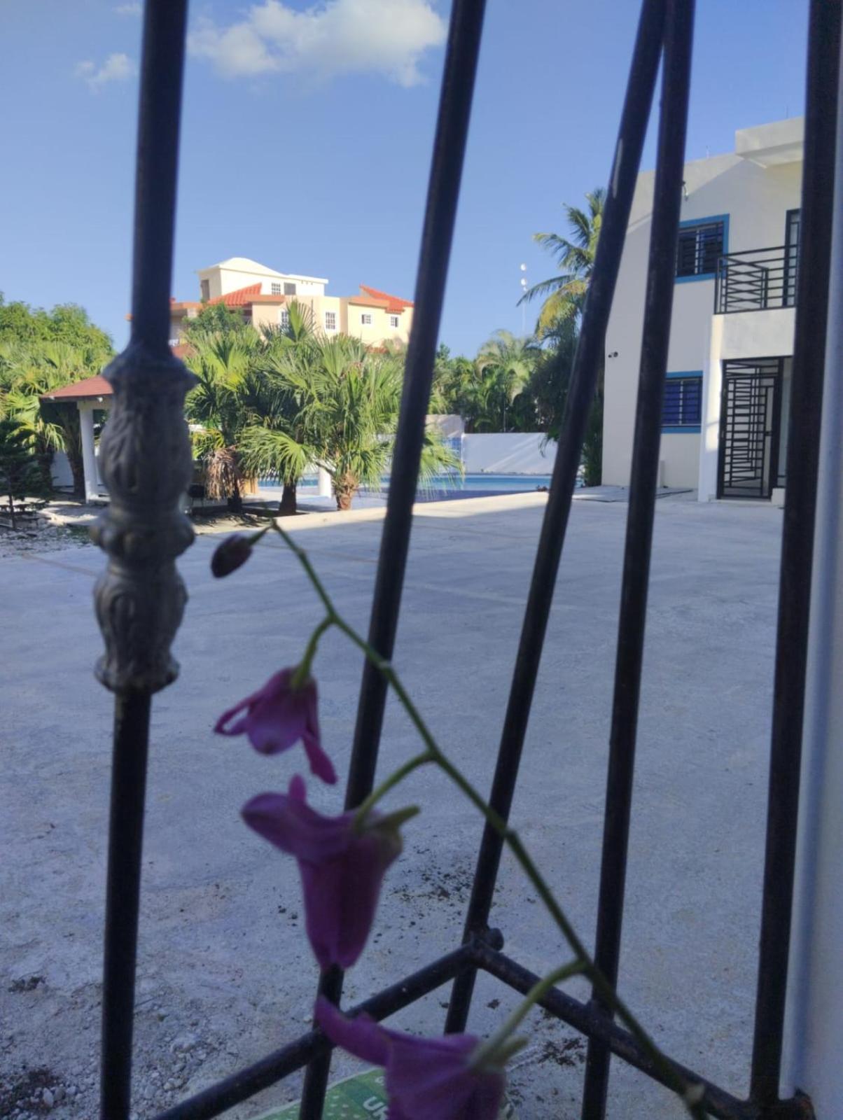 Nely Y Pietro Share Apartment Punta Cana Dış mekan fotoğraf